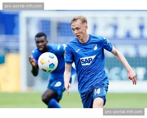 霍芬海姆1-3不敌美因茨，遭遇联赛三连败